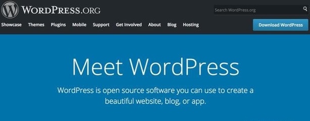 為什么我選擇 WordPress 來建站？深入解析 9 大核心理由